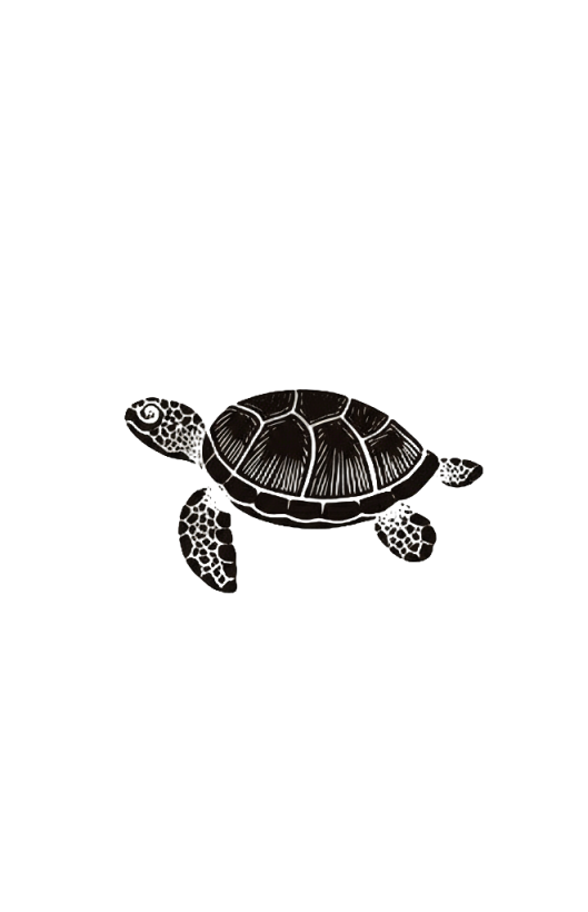 honu